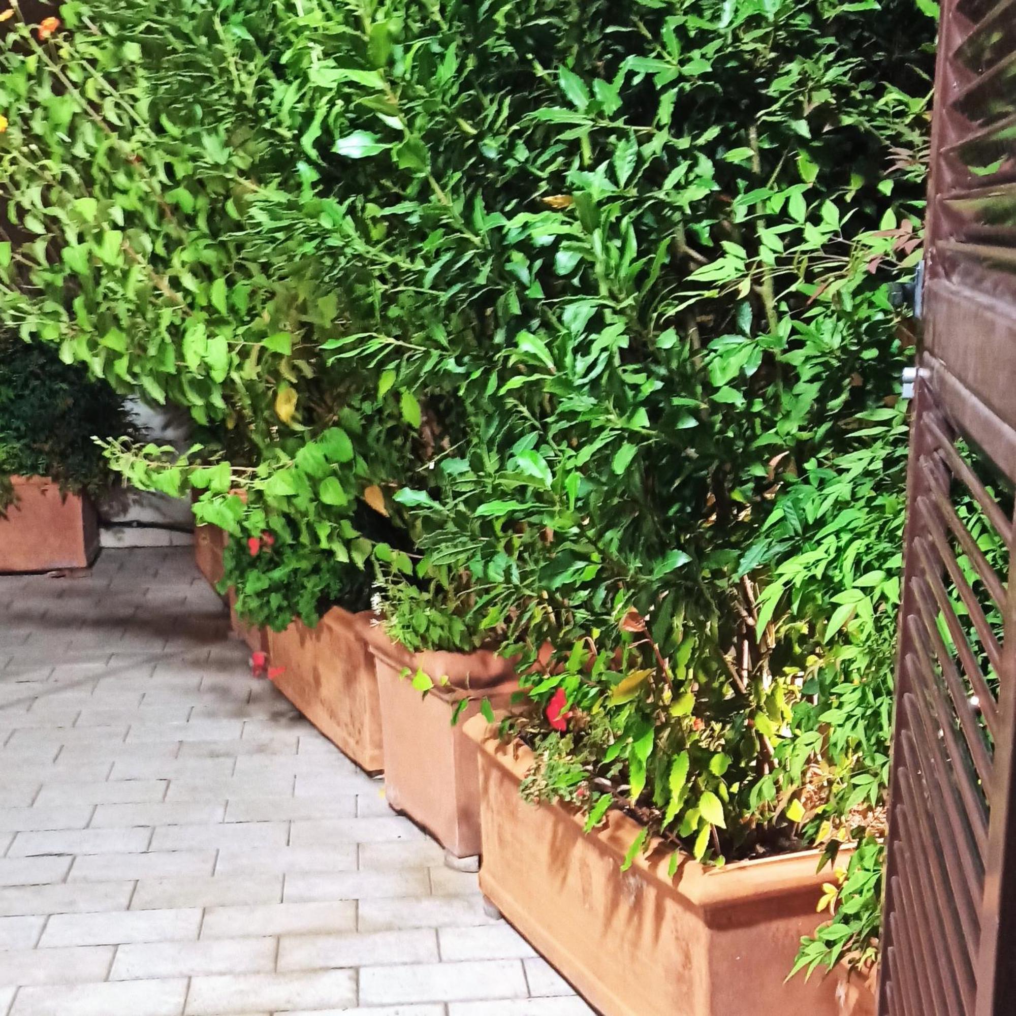 Living By Vatican With Panoramic Terraces In Рим Экстерьер фото